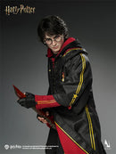 INART - AGA046 - 1/6 Scale Harry Potter And The Goblet Of Fire - Harry Potter Collectible Figure -