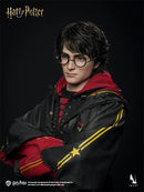 INART - AGA046 - 1/6 Scale Harry Potter And The Goblet Of Fire - Harry Potter Collectible Figure -