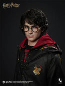 INART - AGA046 - 1/6 Scale Harry Potter And The Goblet Of Fire - Harry Potter Collectible Figure -