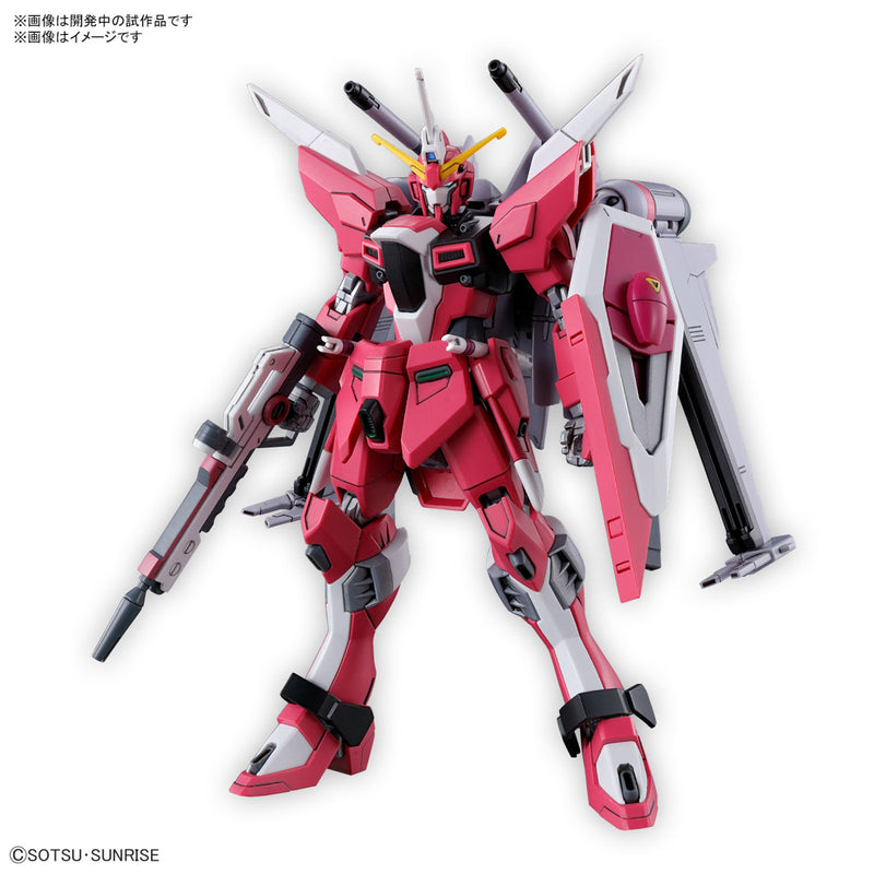 HG 1/144 INFINITE JUSTICE GUNDAM TypeⅡ