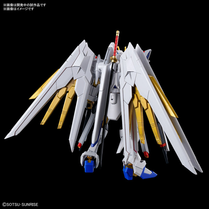 HG 1/144 MIGHTY STRIKE FREEDOM GUNDAM | Dec Batch