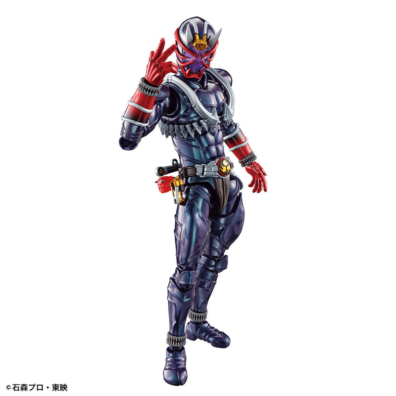 Kamen Rider Figure Rise Standard Hibiki