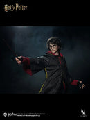 INART - AGA046 - 1/6 Scale Harry Potter And The Goblet Of Fire - Harry Potter Collectible Figure -