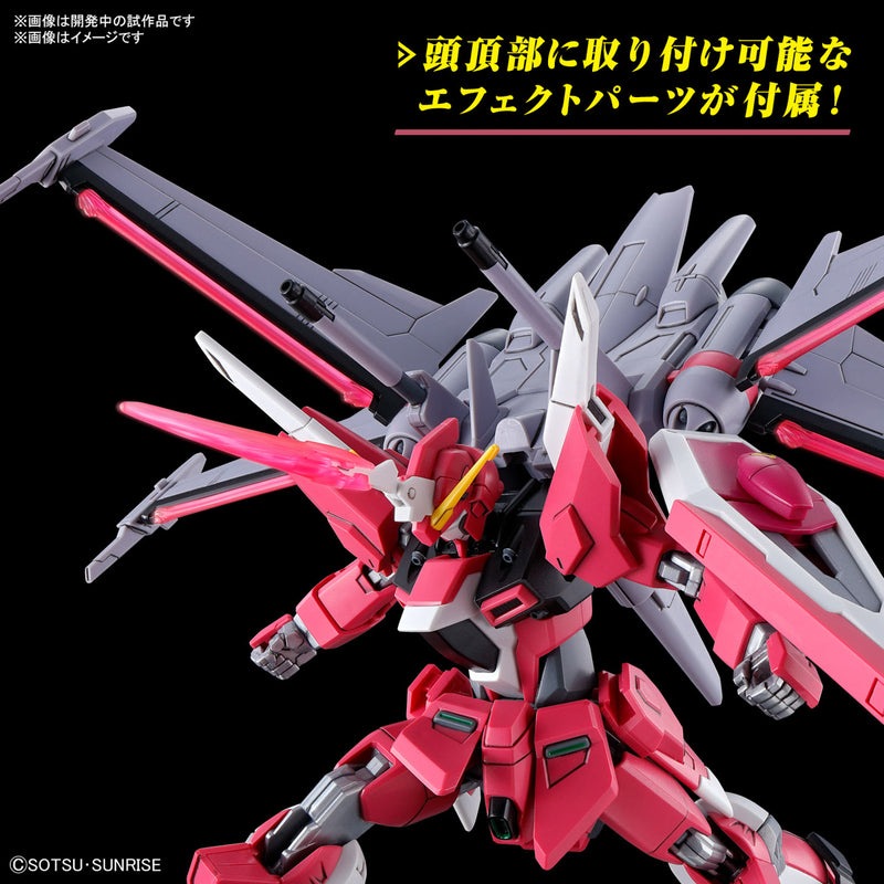 HG 1/144 INFINITE JUSTICE GUNDAM TypeⅡ