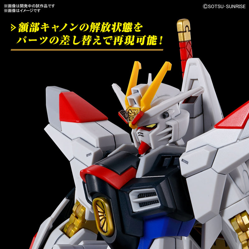 HG 1/144 MIGHTY STRIKE FREEDOM GUNDAM | Dec Batch