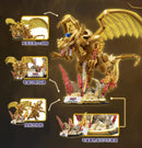 AREA X Yu-Gi-Oh The Winged Dragon of Ra | 遊☆戯☆王 太阳神翼神龙