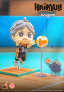 Hottoys Cosbi Haikyuu！( Set of 8 )