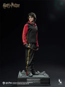 INART - AGA046 - 1/6 Scale Harry Potter And The Goblet Of Fire - Harry Potter Collectible Figure -