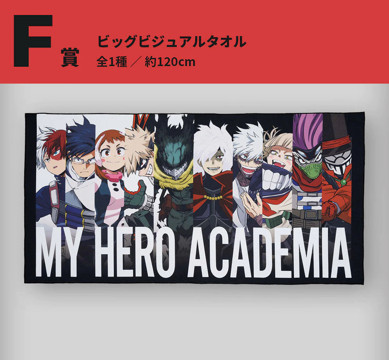 Ichiban Kuji MY HERO ACADEMIA -VS-