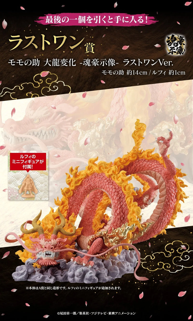 Ichiban Kuji - One Piece EX Raid On! Onigashima Single Pcs