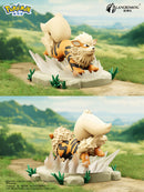 Pokemon Battle Moment