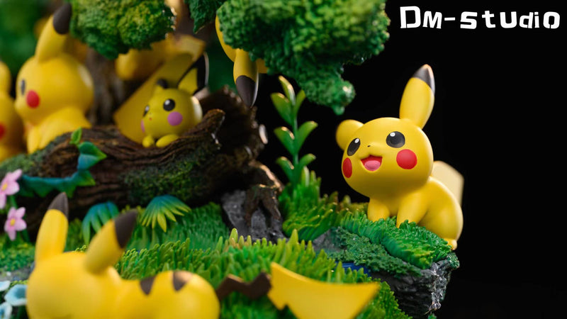 DM Studio Pikachu Valley