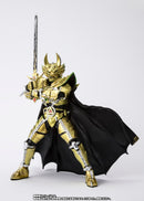 S.H.Figuarts SKC OUGONKISHI GARO (SAEJIMA KOUGA) GARO 20th Anniversary Ver.