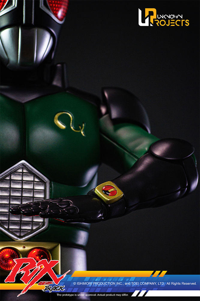 Unknown Projects Masked Rider Black RX