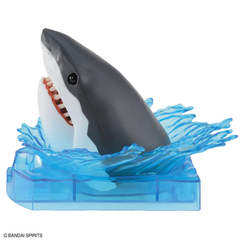 Bandai Exploring Lab Nature Great White Shark