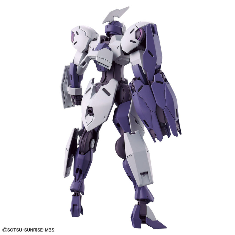 HG 1/144 Michaelis