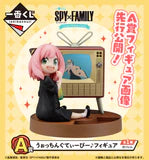 Ichiban Kuji - Spy x Family ~Lovely Ordinary Days Single Pcs