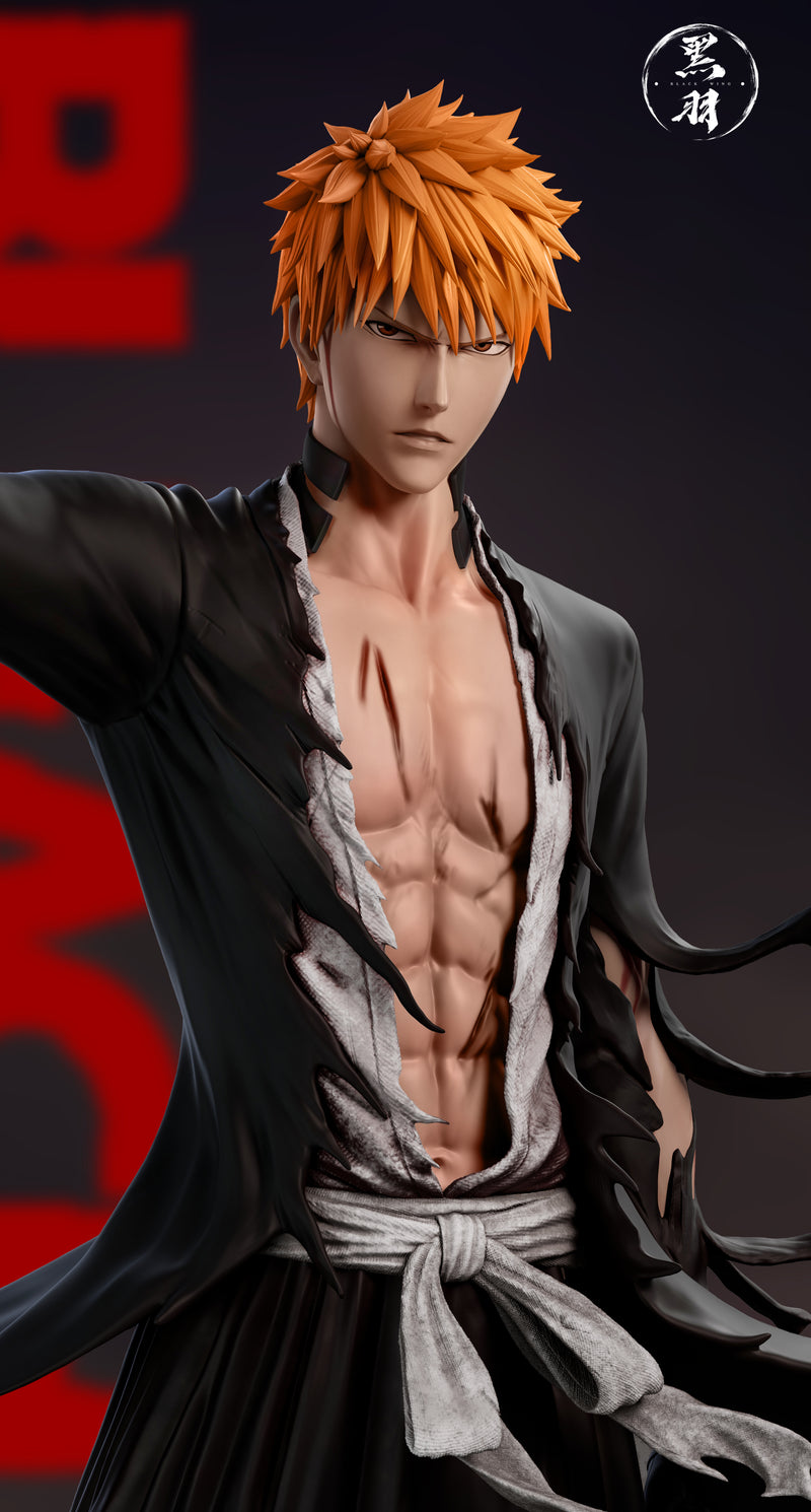 Black Wing Studio Bleach : Kurosaki Ichigo 黒崎 一護