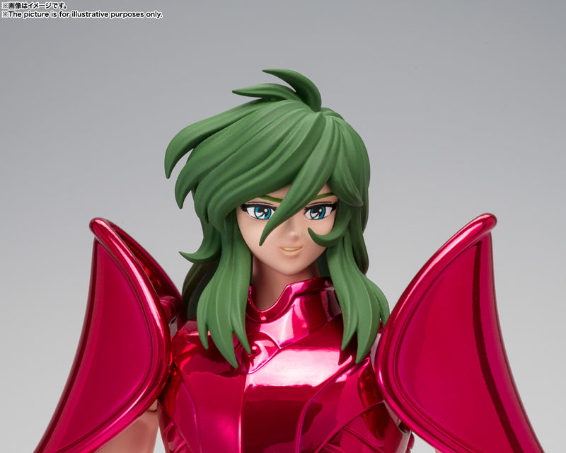 Saint Cloth Myth EX Andromeda Shun (Final Bronze Cloth)
