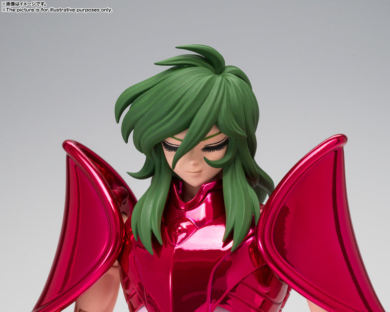 Saint Cloth Myth EX Andromeda Shun (Final Bronze Cloth)